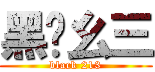 黑贰幺三 (black 213)
