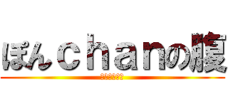 ぽんｃｈａｎの腹 (ぽっちゃりん)