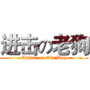 进击の老狗 (Attack on Old Dog)