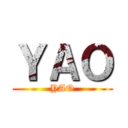 ＹＡＯ (YAO)