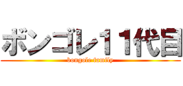 ボンゴレ１１代目 (bongole family)