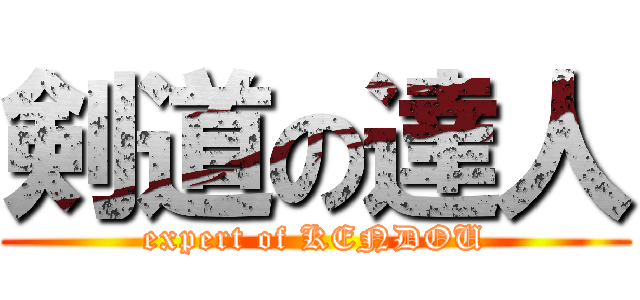 剣道の達人 (expert of KENDOU)