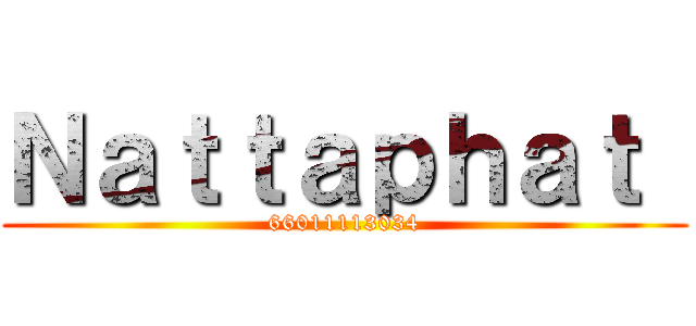 Ｎａｔｔａｐｈａｔ  (66011113034)