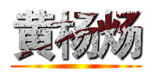 黄杨炀 ()