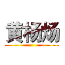 黄杨炀 ()