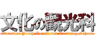 文化の觀光科 (Overseas Youth Vocational Training School)