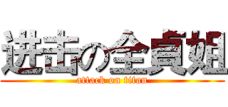 进击の全貞姐 (attack on titan)