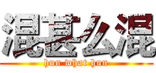 混甚么混 (hun what hun)
