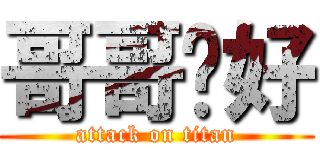 哥哥你好 (attack on titan)