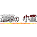 進撃の 小童 (attack on titan)