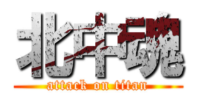 北中魂 (attack on titan)