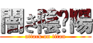 闇き陰☯陽 (attack on titan)