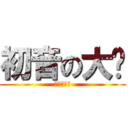 初音の大蔥 (小楓是白癡)