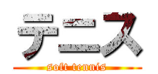 テニス (soft tennis)