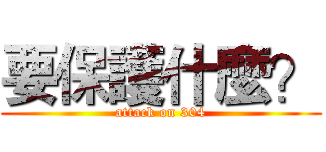 要保護什麼？ (attack on 304)