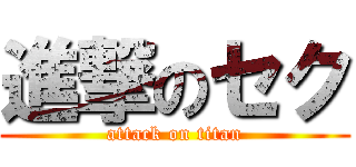 進撃のセク (attack on titan)