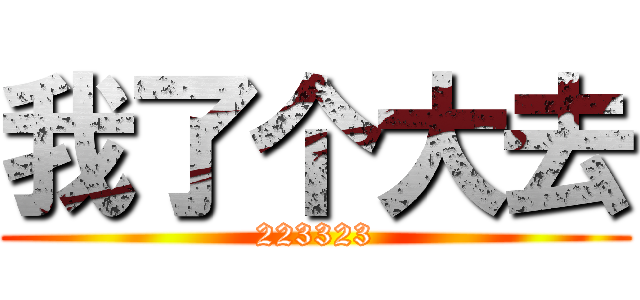 我了个大去 (223323)