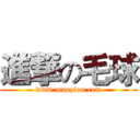 進撃の毛球 (www.maoqiou.com)