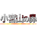 小宮山の鼻 (attack on titan)