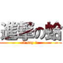 進撃の蛤 (I say 蛤.)