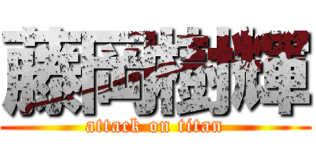 藤岡樹輝 (attack on titan)