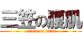 三笠の腹肌 (attack on titan)