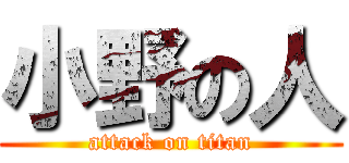 小野の人 (attack on titan)