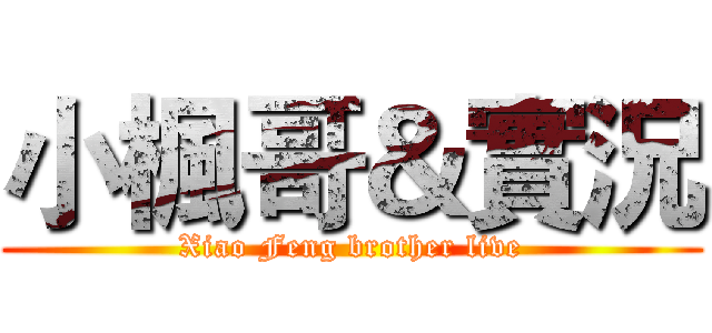 小楓哥＆實況 (Xiao Feng brother live)