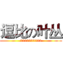 逗比の叶丛 (2333333333)