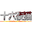 十六夜猫 (attack on titan)