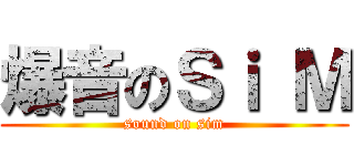 爆音のＳｉ Ｍ (sound on sim)