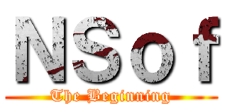 ＮＳｏｆ (The Beginning)