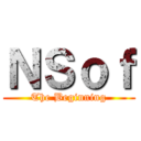 ＮＳｏｆ (The Beginning)