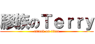 膠族のＴｅｒｒｙ (attack on titan)