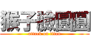 猴子臉圓圓 (attack on titan)