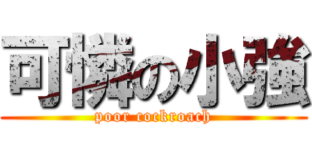 可憐の小強 (poor cockroach)