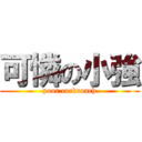 可憐の小強 (poor cockroach)