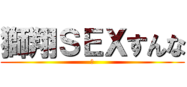 獅翔ＳＥＸすんな (💢)