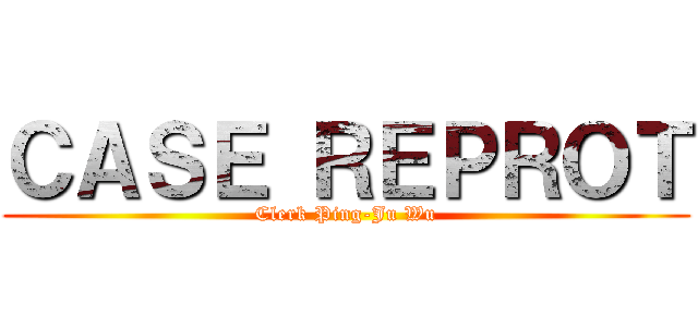 ＣＡＳＥ ＲＥＰＲＯＴ (Clerk Ping-Ju Wu)