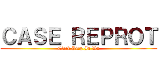 ＣＡＳＥ ＲＥＰＲＯＴ (Clerk Ping-Ju Wu)