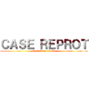 ＣＡＳＥ ＲＥＰＲＯＴ (Clerk Ping-Ju Wu)