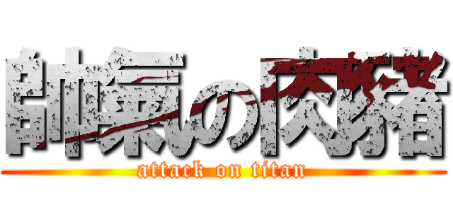 帥氣の肉豬 (attack on titan)