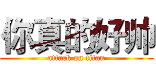 你真的好帅 (attack on titan)