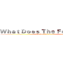 Ｗｈａｔ Ｄｏｅｓ Ｔｈｅ Ｆｏｘ Ｓａｙ？ (What Does The Fox Say?)