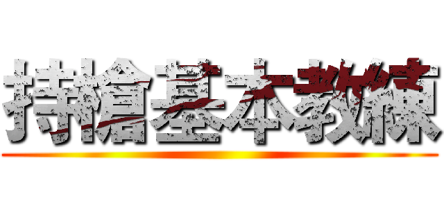 持槍基本教練 ()