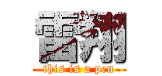 雷翔 (this is a pen)