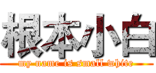 根本小白 (my name is small white)