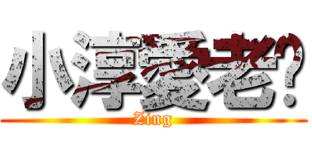 小淳愛老芃 (Zing)