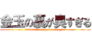 金玉の裏が臭すぎる (kintmmanoiragakusasugiru)