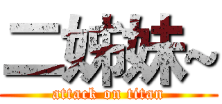 二姊妹~ (attack on titan)